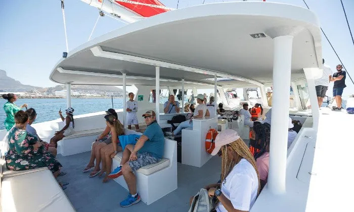 60-Minute Catamaran Sailing in the Bay Cruise with Waterfront Boat Tours