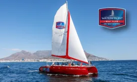 60-Minute Catamaran Sailing in the Bay Cruise with Waterfront Boat Tours