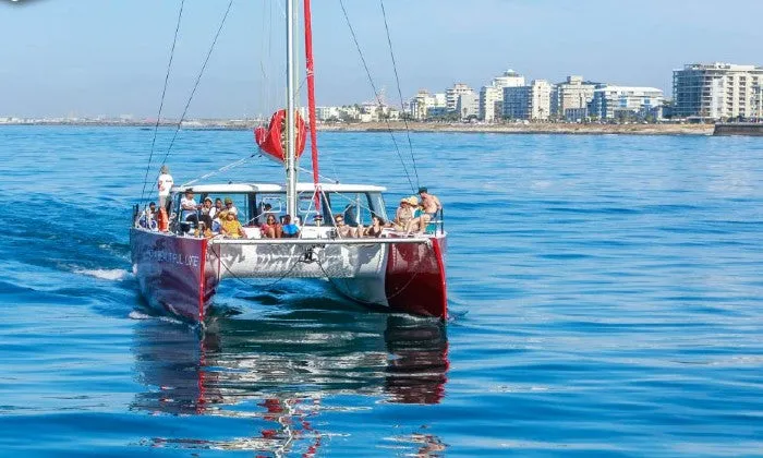 60-Minute Catamaran Sailing in the Bay Cruise with Waterfront Boat Tours