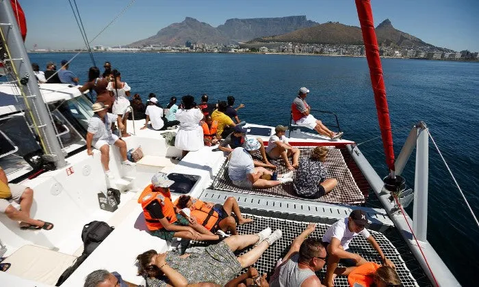 60-Minute Catamaran Sailing in the Bay Cruise with Waterfront Boat Tours