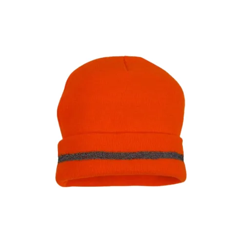 Hi Viz Beanie