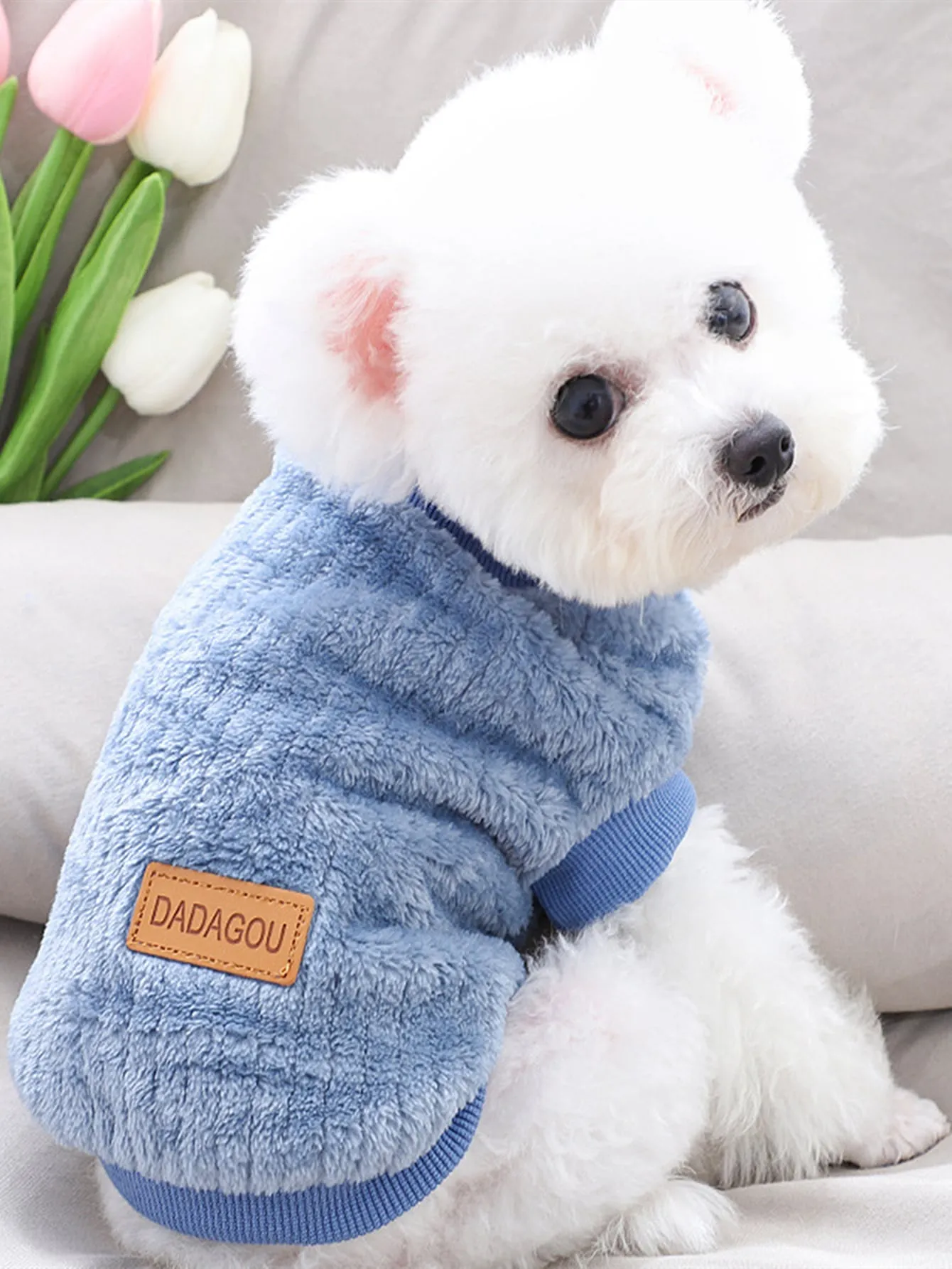 Pet embroidered sweatshirt|Plain Pet Sweatshirt,Knitwear