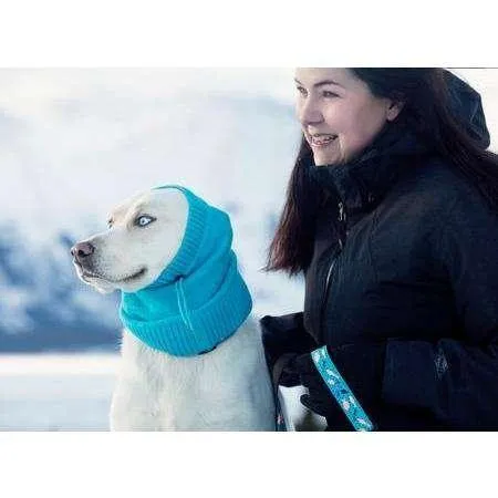 RC Dog Polaris Snood Teal