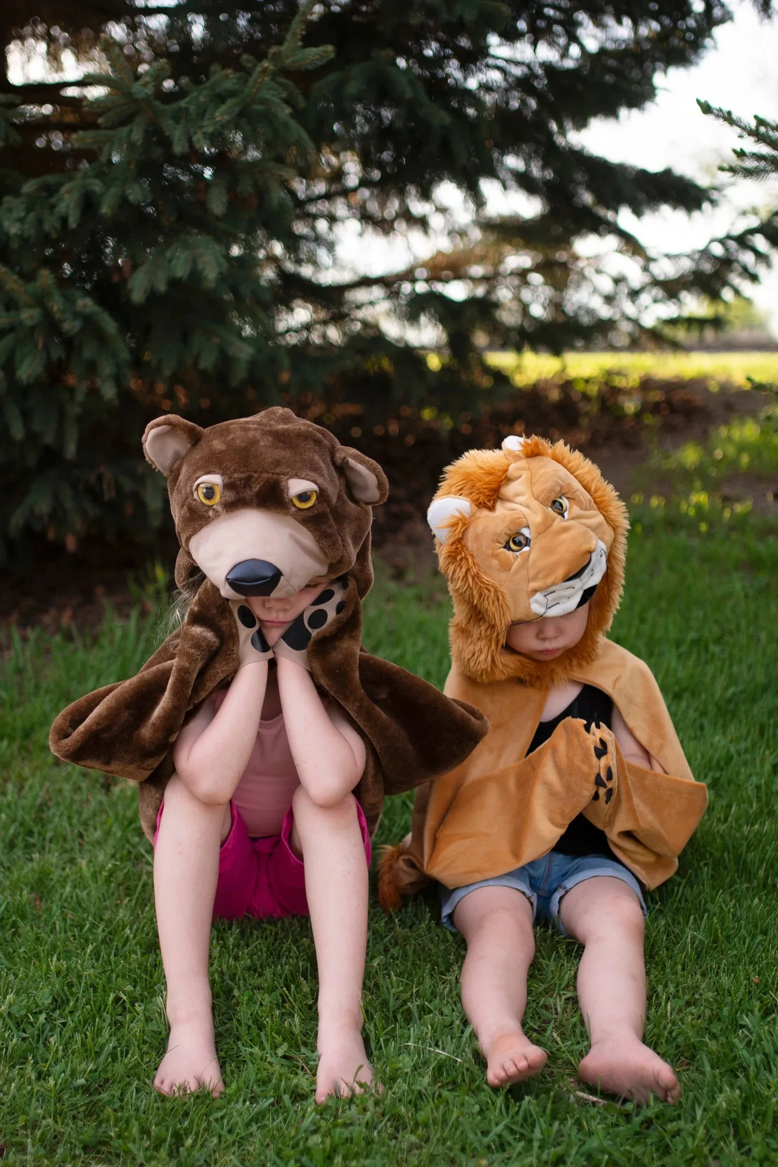 Storybook Bear Cape - Creative Education