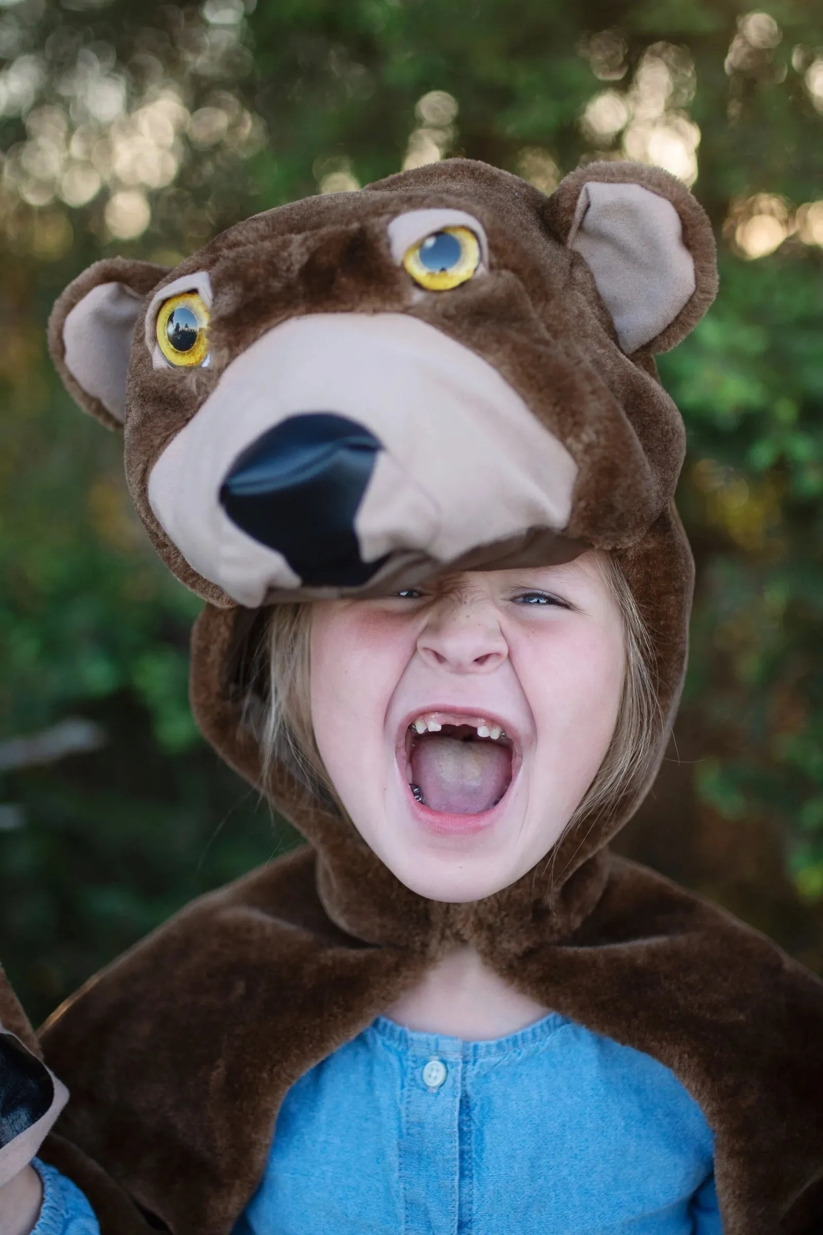 Storybook Bear Cape - Creative Education